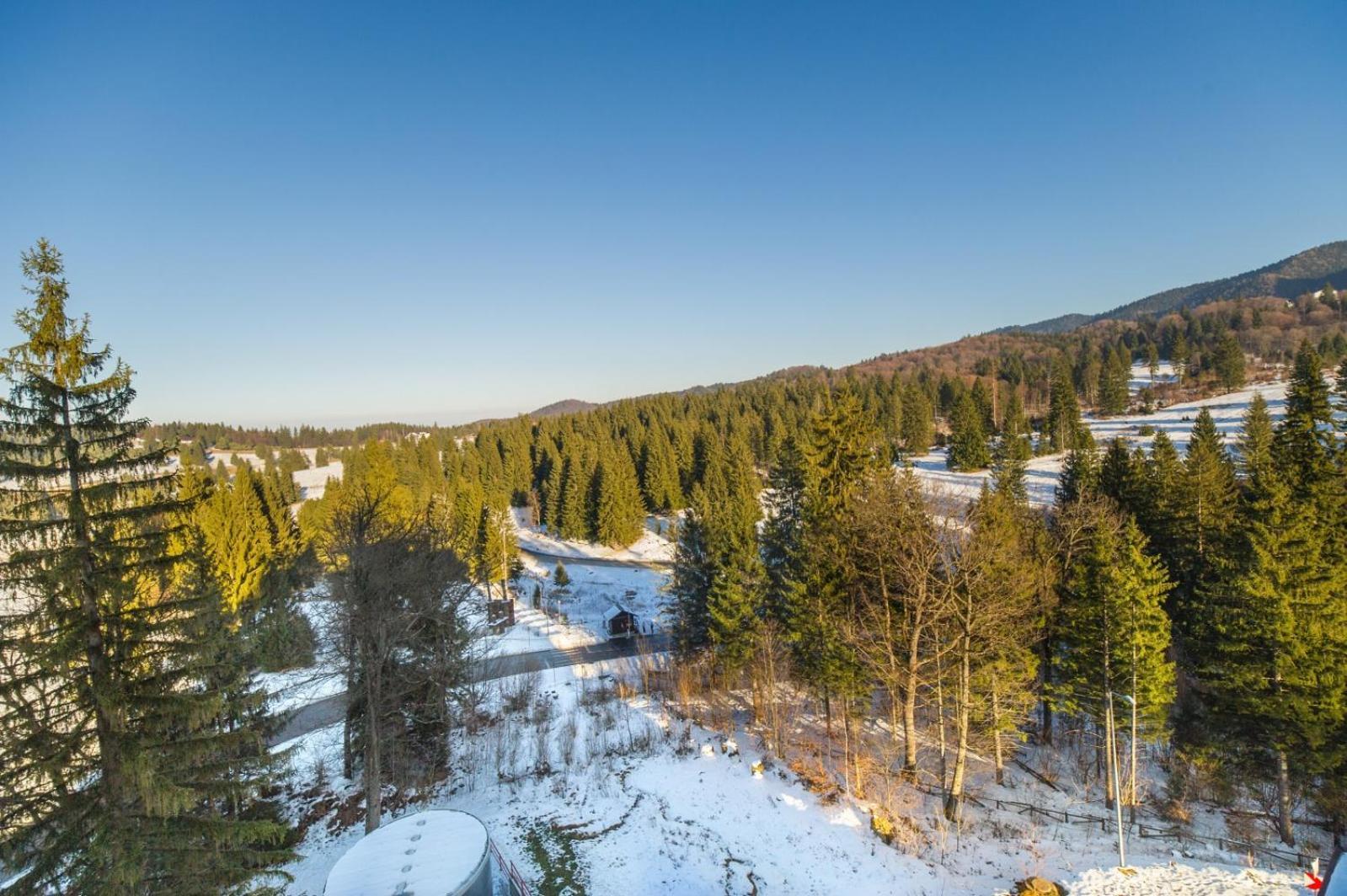 Pine Woods Apartment A43 In Silver Mountain Poiana Braşov Dış mekan fotoğraf