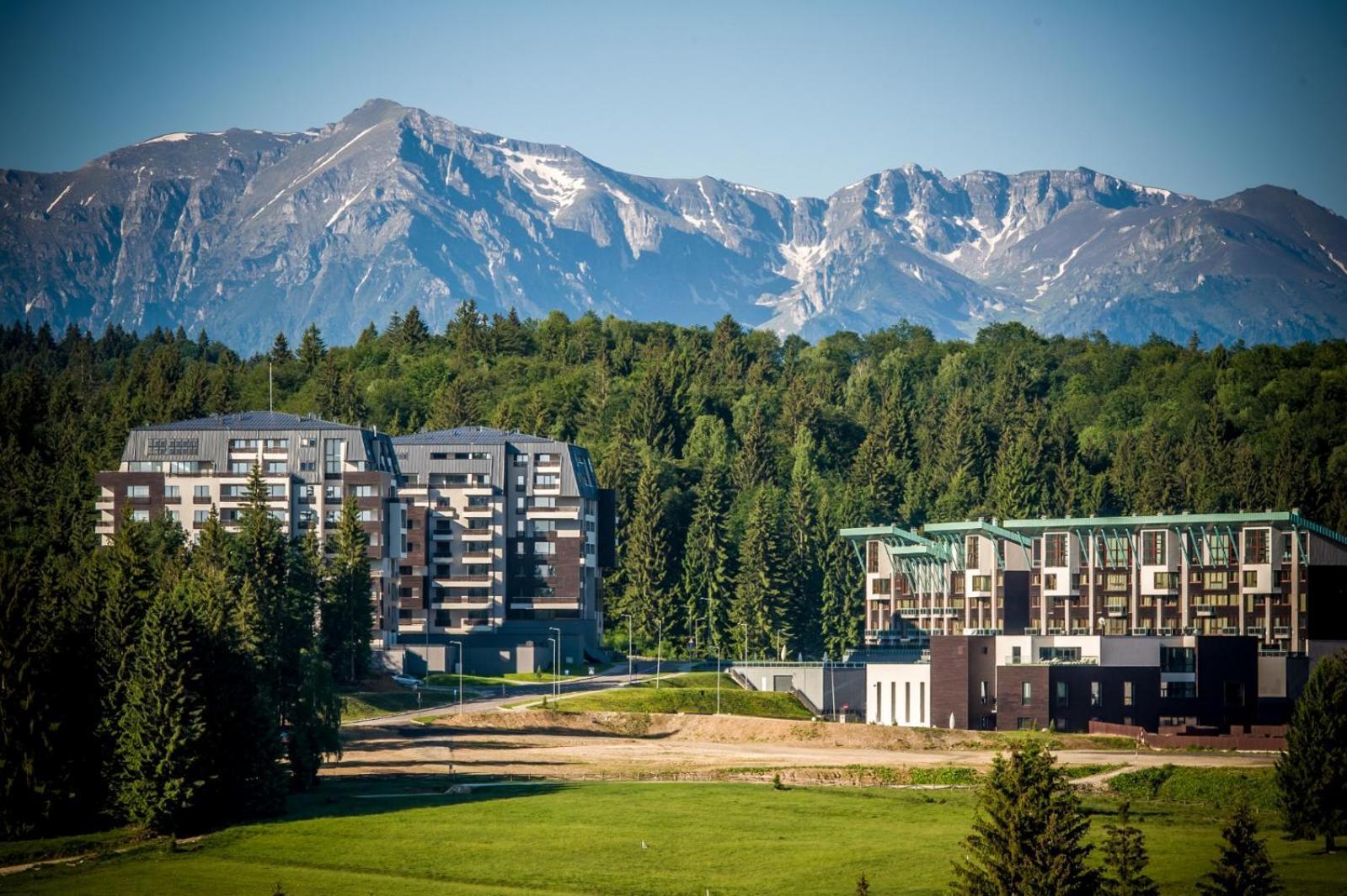 Pine Woods Apartment A43 In Silver Mountain Poiana Braşov Dış mekan fotoğraf